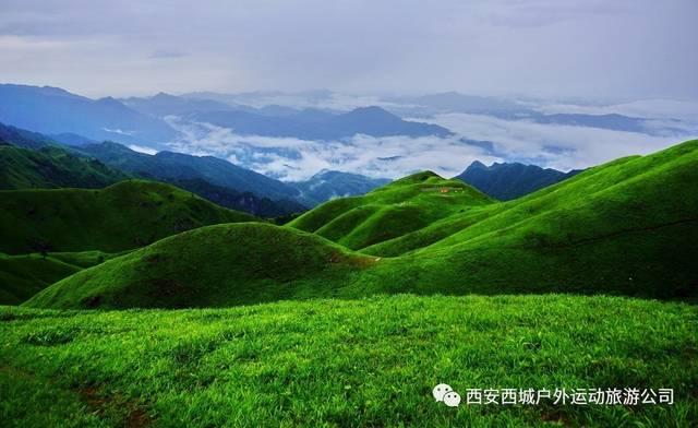 辛芷蕾亮相2024巴黎高定周:诠释优雅与美丽的完美融合